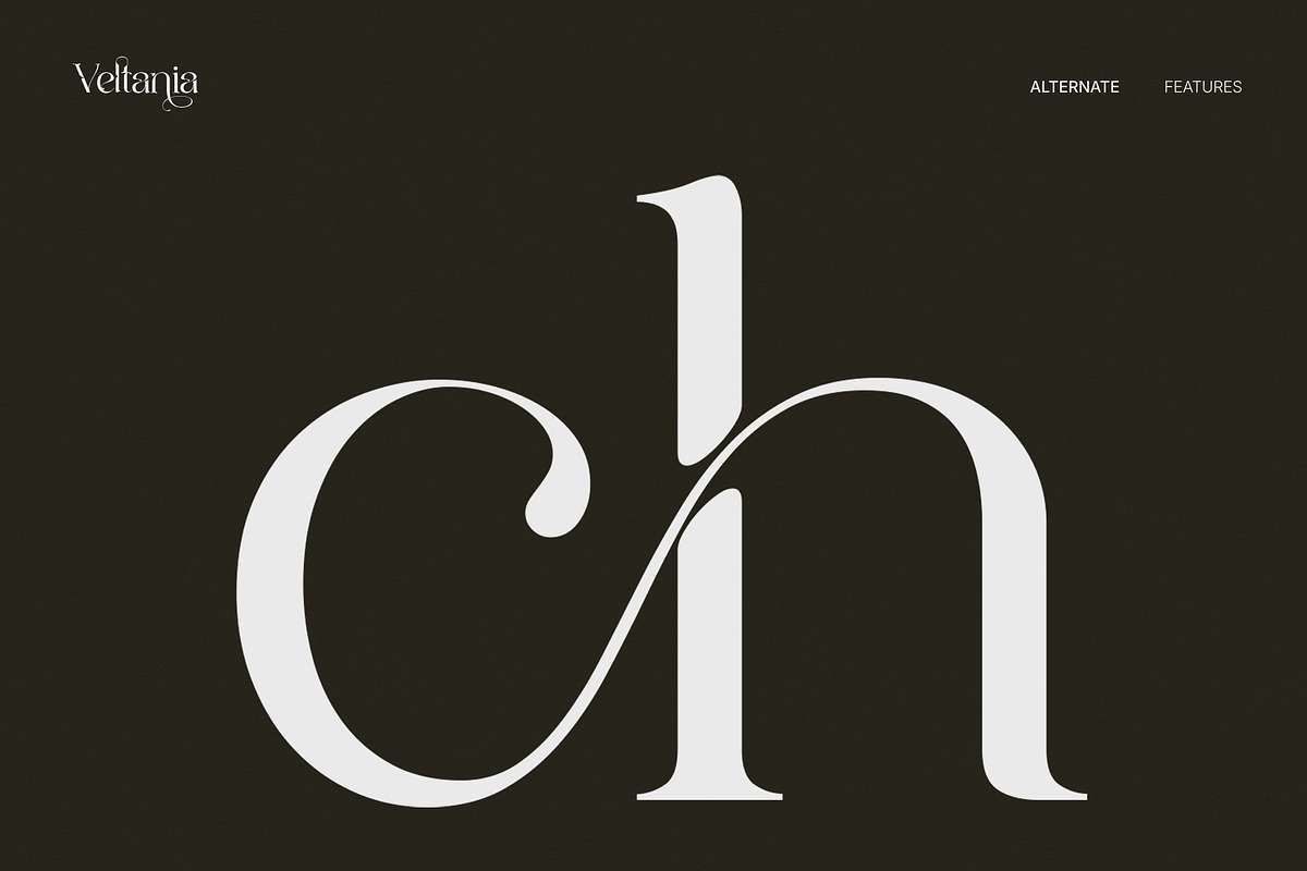 Veltania - Modern Serif Font, a Serif Font by Inviline.co (Photo 5 of 14)