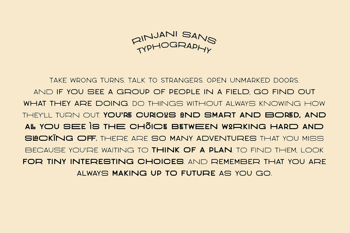 Rinjani Sans - Wide Stretch Typeface, a Sans Serif Font by CCS Type (Photo 17 of 24)