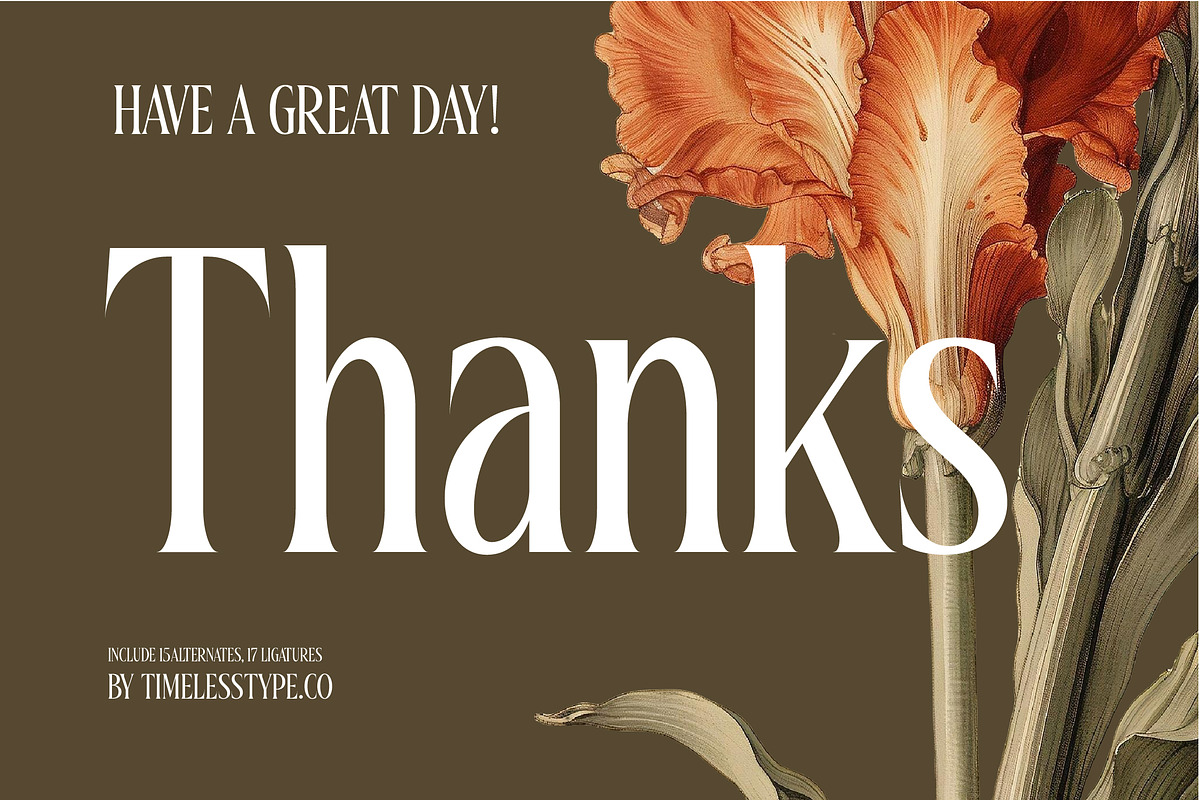 Magiora Tall Modern Serif Font, a Serif Font by timelesstype.co (Photo 20 of 20)