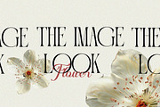 Portiso - Modern Luxury Serif, a Serif Font by Qweera Studio (Thumbnail 8 of 12)