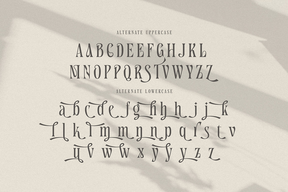 Nekavand Condensed Serif, a Serif Font by Cruzine (Photo 5 of 7)
