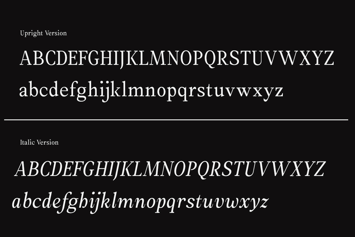 Amnesist | 12 Fonts, a Serif Font by Skinny Type (Photo 11 of 12)