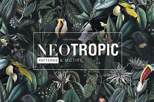 Neotropical, Pattern & Motifs