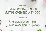 Emely Brown | Handwritten Font, a Script Font by Suntype | Sunshine Std (Thumbnail 3 of 7)