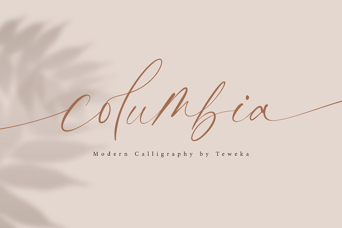 columbia, a Script Font by Teweka (Photo 1 of 12)