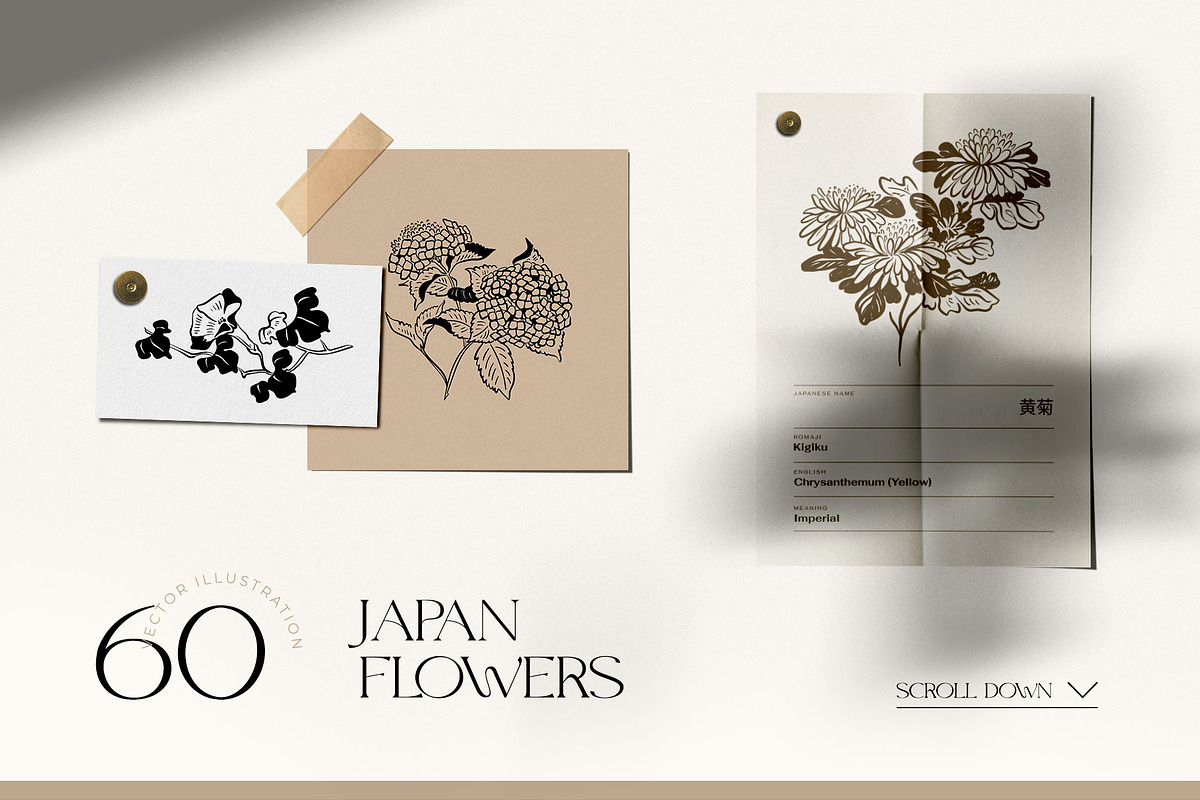 Japanese Flowers | Illustration Kit, an Object Illustration by Leleka.Store (Photo 3 of 10)