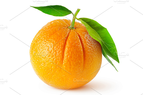 One Orange With Leaves