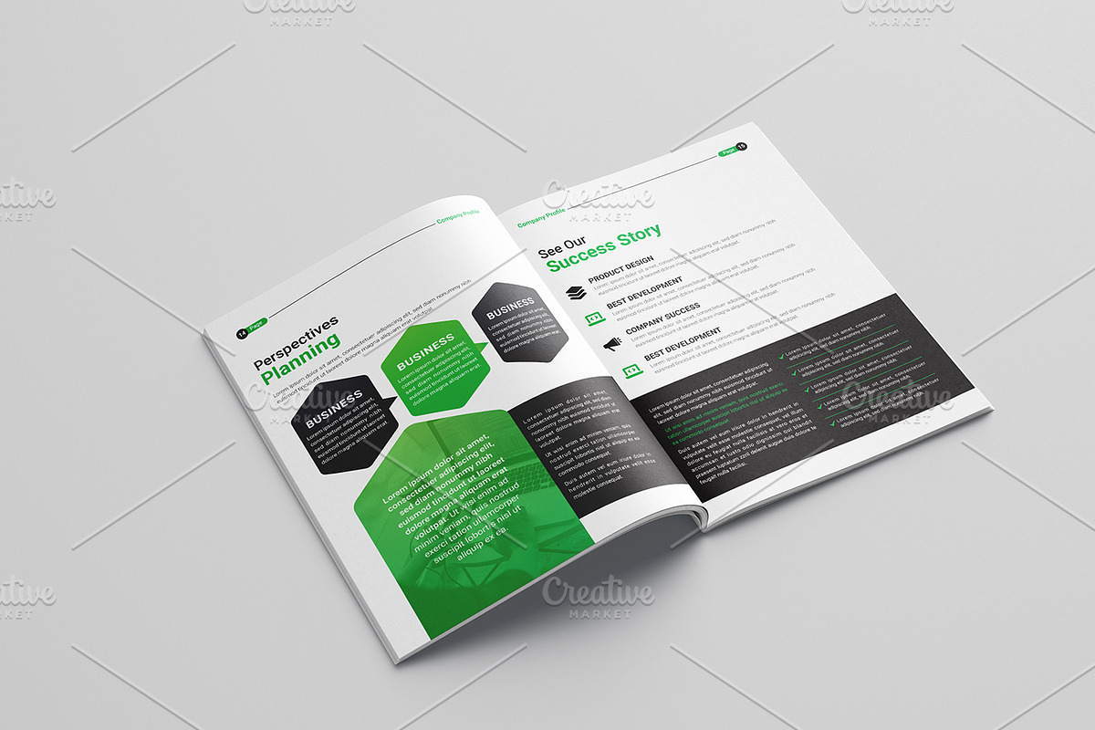 multipurpose business brochure, a Brochure Template by gstudiovect21 (Photo 12 of 12)