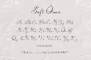 Soft Omen: Delicate Script Font, a Script Font by Mneme (Thumbnail 5 of 9)