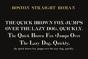 Boston Straight Roman – Display Font, a Serif Font by Lilithcollageart (Thumbnail 13 of 20)