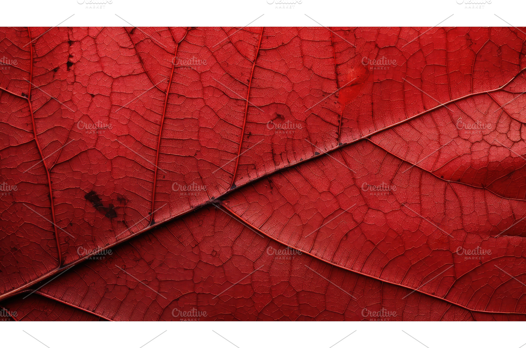 plant red texture sunny up ai, a Nature Photo by pikepicture