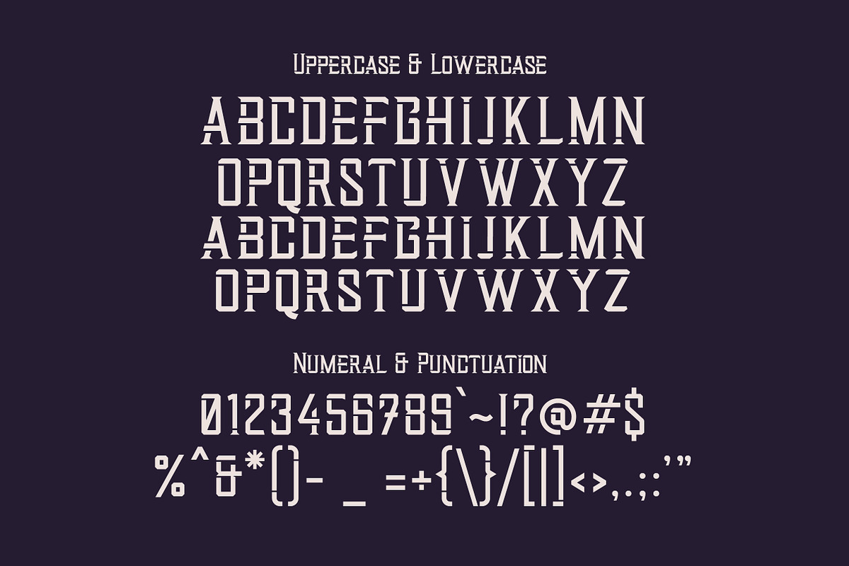 Startrail Futuristic Retro Family, a Serif Font by Lettertype Studio (Photo 12 of 15)