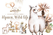 Alpaca Cute WildLife Watercolor Set, an Animal Illustration by Ann Art Houze (Thumbnail 1 of 12)
