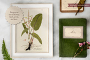 BUNDLE: 600 Academia Ephemera, an Object Graphic by The Object Atlas (Thumbnail 10 of 16)