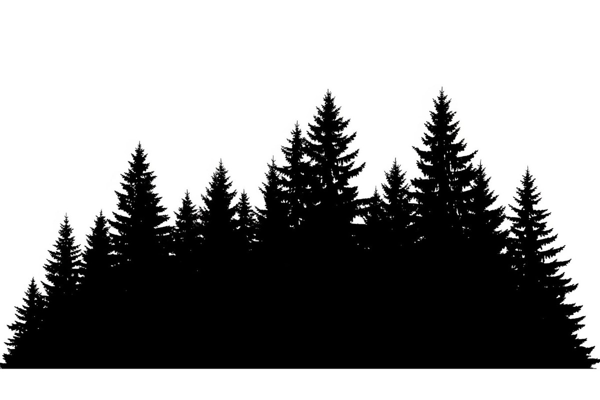 Woodland & Forest Tree Silhouettes B, an Illustration by jahid234 (Photo 18 of 41)