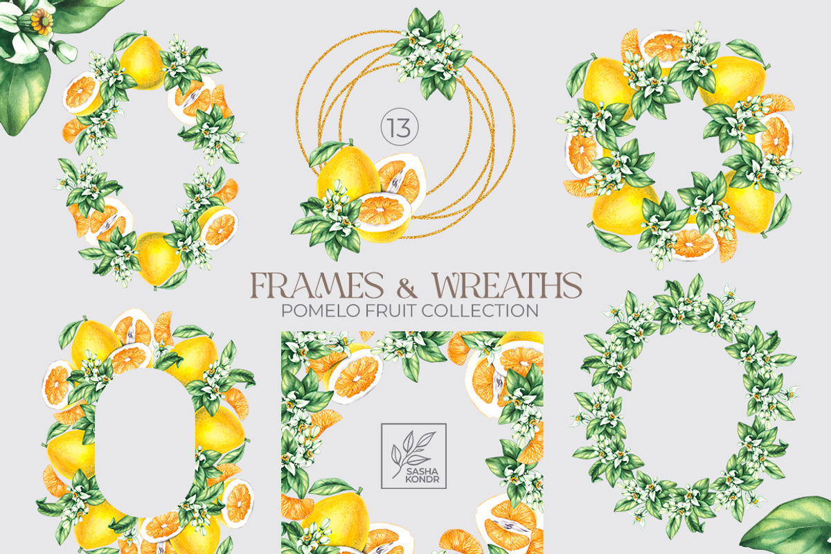 Pomelo Fruit Watercolor Collection, a Food Illustration by SashaKondr (Photo 10 of 13)