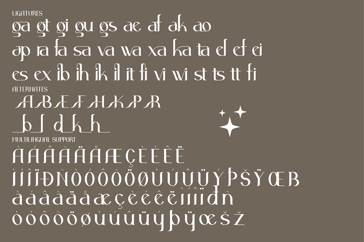 Agata Modern Display Font, a Serif Font by Storytype Studio (Photo 8 of 9)