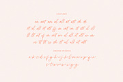 Peach Citrus Handwritten Script, a Script Font by Seagulls Creative (Thumbnail 11 of 11)