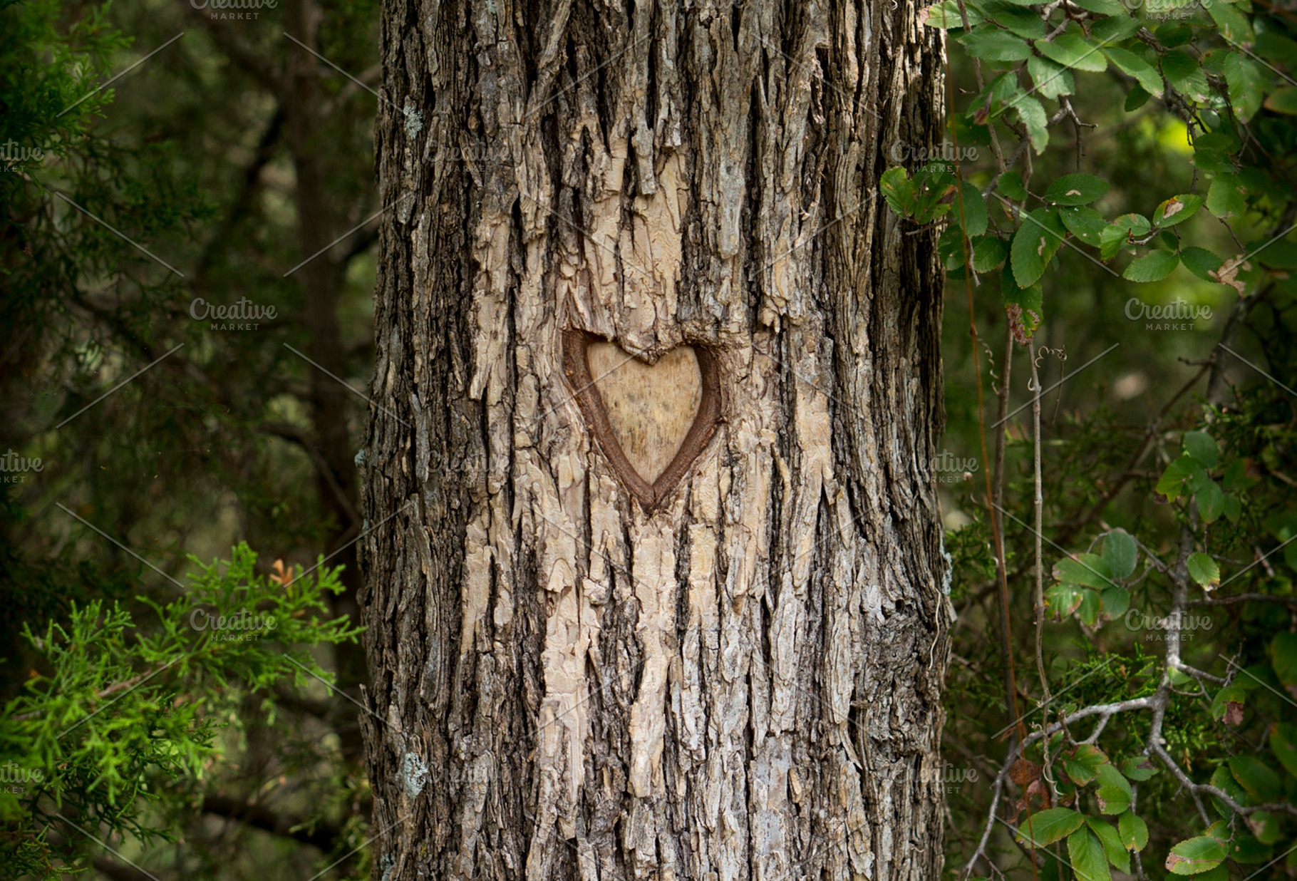 Love Knot Tree