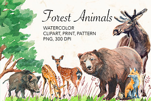 Forest Animals watercolor.