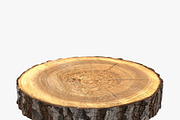 Wood Log Slice, an Environmental 3D Model by 3D_PikNik (Thumbnail 2 of 15)