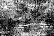 Pattern Texture Pack (Tileable), a Pattern Graphic by Fiat Lux (Thumbnail 5 of 12)
