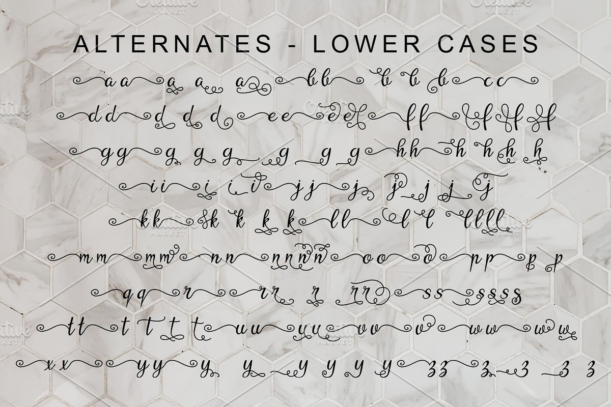 Ypsyllon, a Script Font by Digital Typeface Studio (Photo 4 of 8)