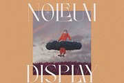 Noleum - Display Serif, a Serif Font by executypeStudio (Thumbnail 6 of 12)