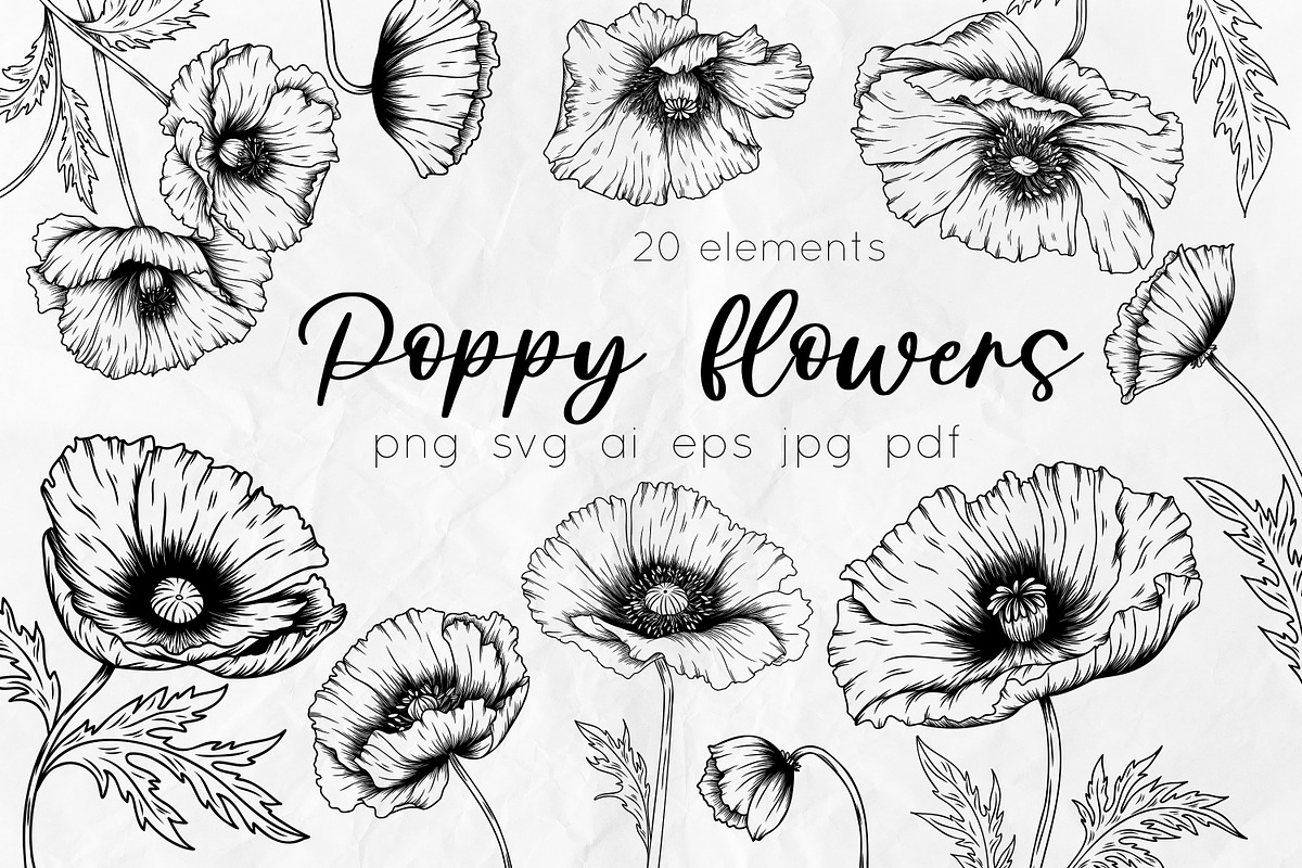Poppy Flowers Line Art SVG, an Object Graphic by Dervik Art Store (Photo 1 of 7)