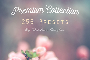 Premium Pack 256 Presets Lightroom