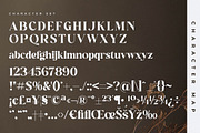 Hanfiye Guesterya Font Duo, a Serif Font by Storytype Studio (Thumbnail 13 of 15)