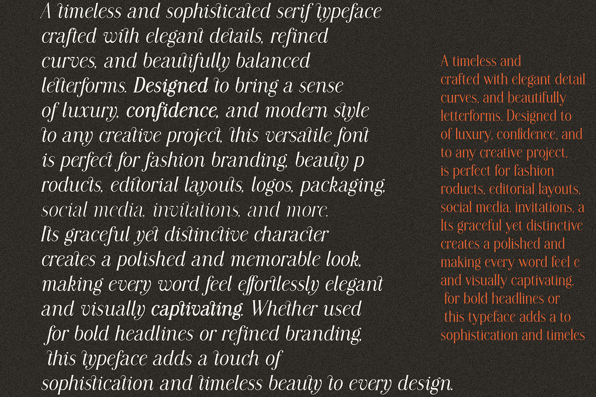 Modern Chic Refined – Elegant Serif, a Serif Font by MaxArt Foundry (Photo 18 of 20)