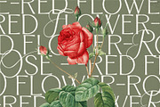 Angelora Typeface, a Sans Serif Font by Setara Langit CreativeStd (Thumbnail 10 of 17)
