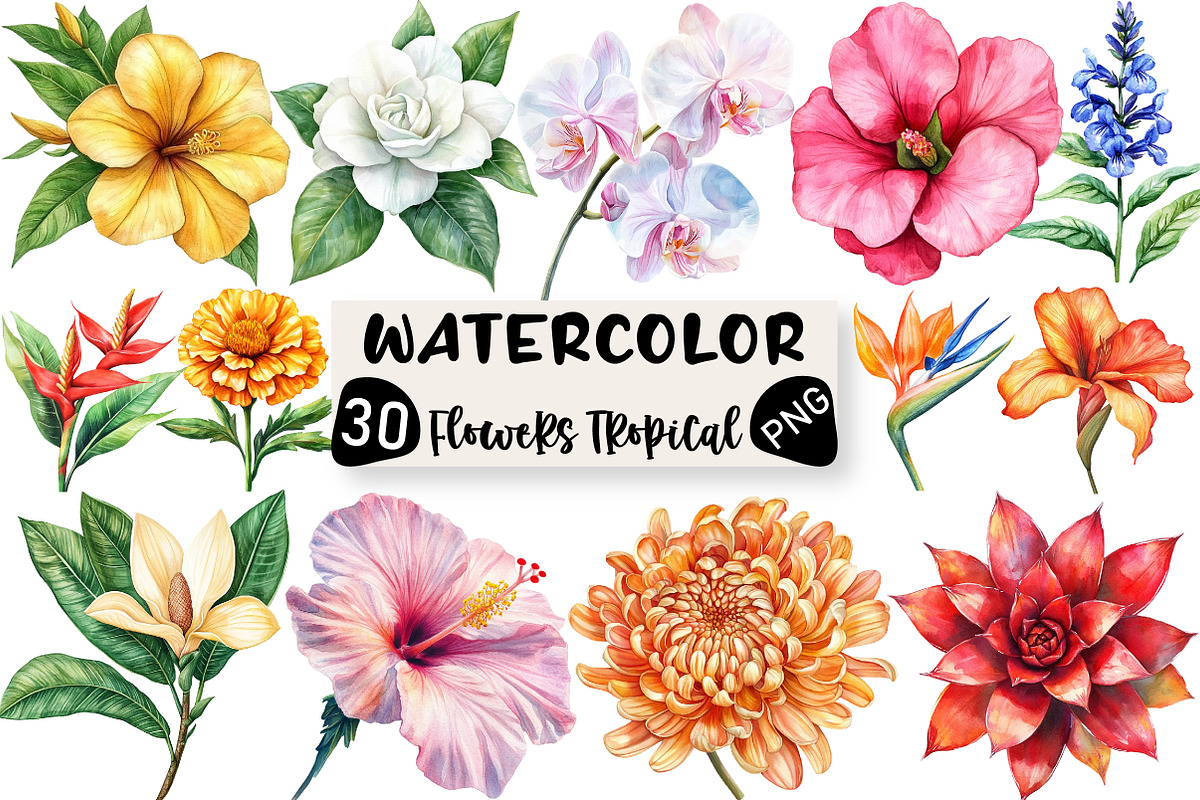 Watercolor Flowers Tropical PNG, an Illustration by Black Bird Studio (Photo 1 of 6)