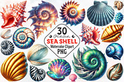 Ocean Sea Shell Sublimation Clipart, an Illustration by RobertsArt (Thumbnail 1 of 7)