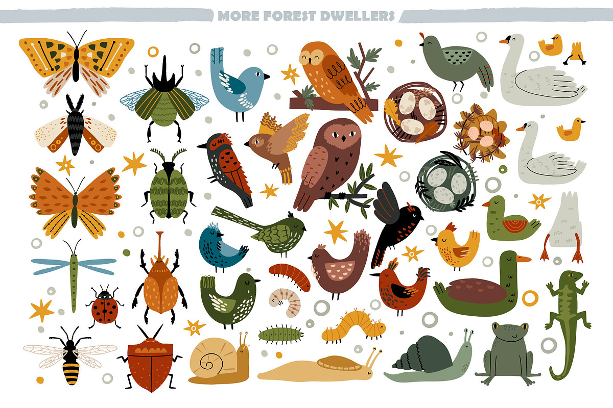 BIG FOREST