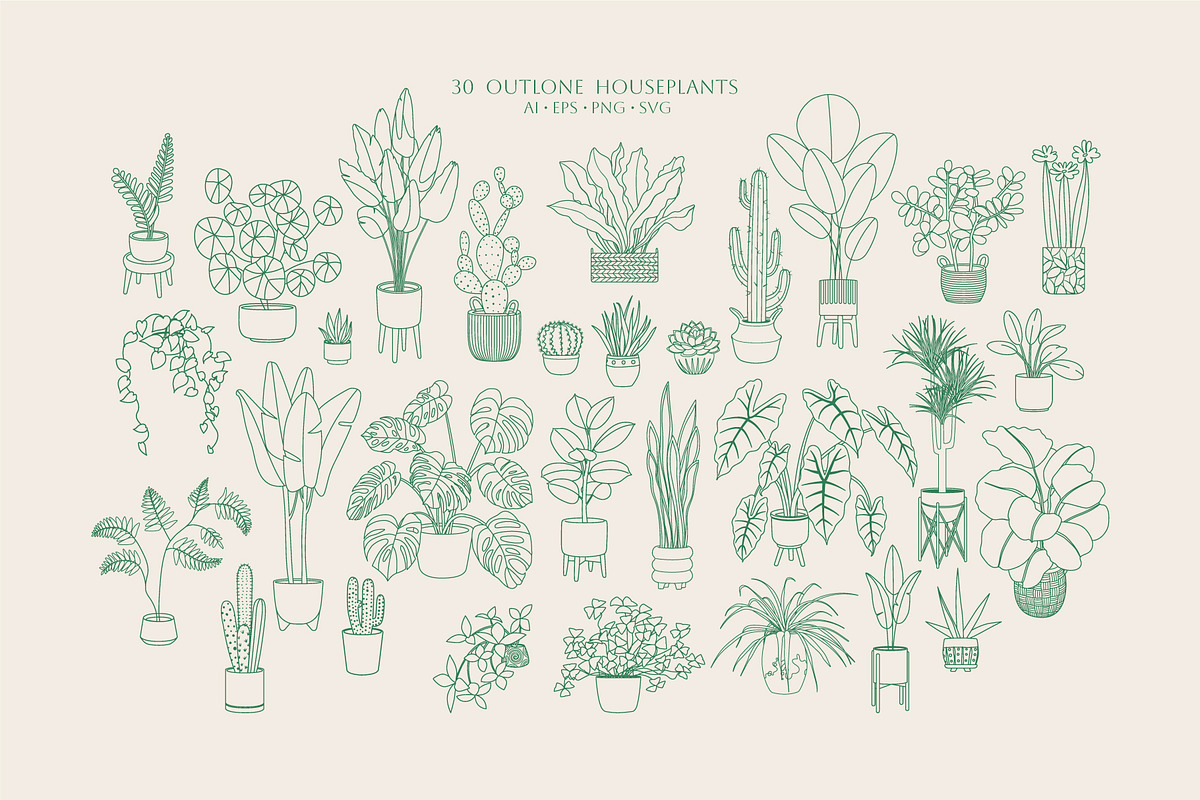 Home Plants | House Plants in Pots, a Decorative Illustration by Berentine.art (Photo 8 of 16)