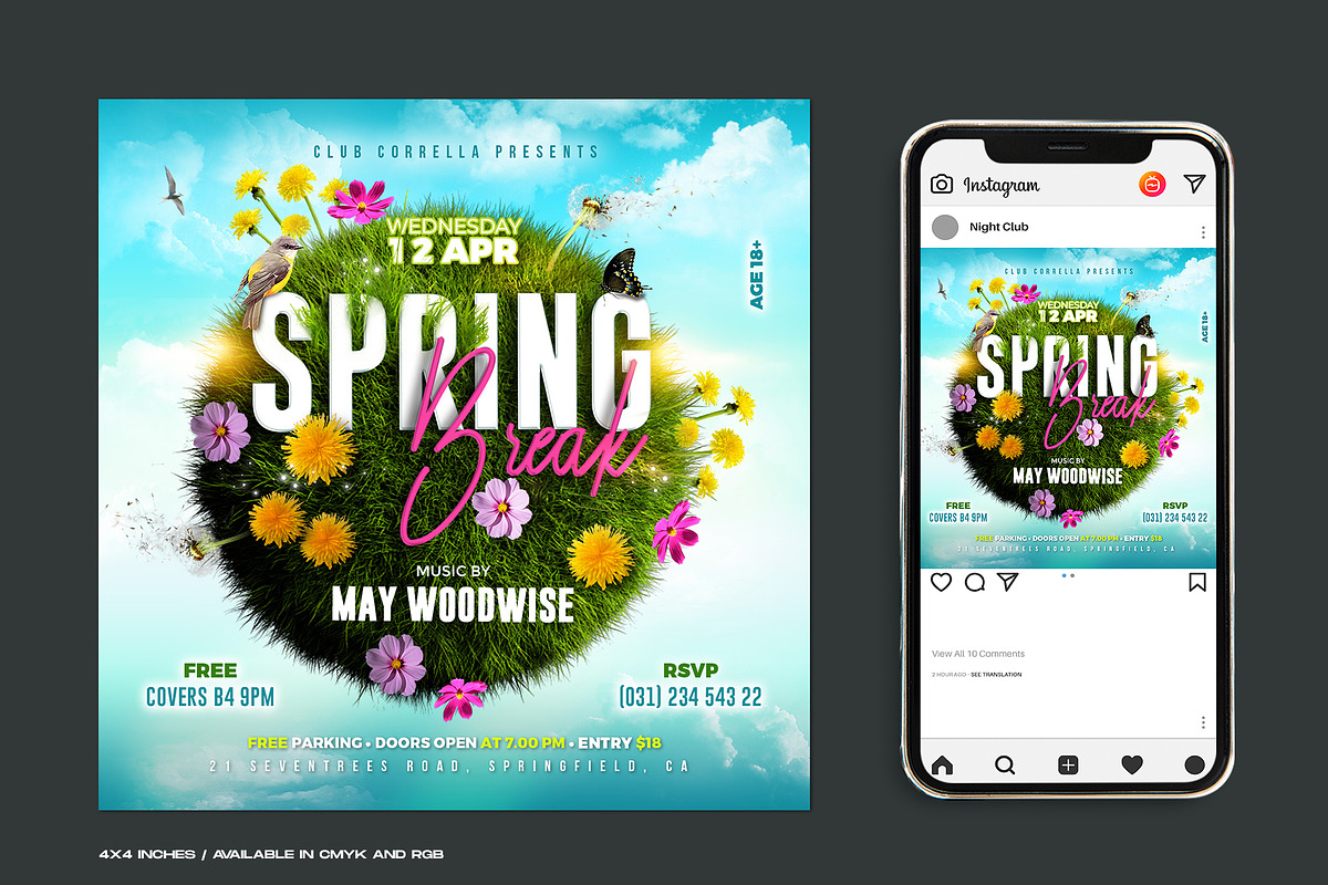 Spring Break Party Flyer, a Flyer Template by Corrella Design (Photo 1 of 2)