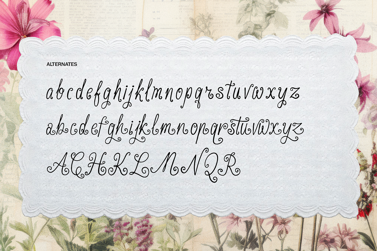Nawiyla | Handwritten Script, a Script Font by gracetype_studio (Photo 11 of 11)