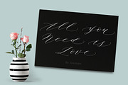 Authentic Script, a Script Font by Areatype (Thumbnail 7 of 7)
