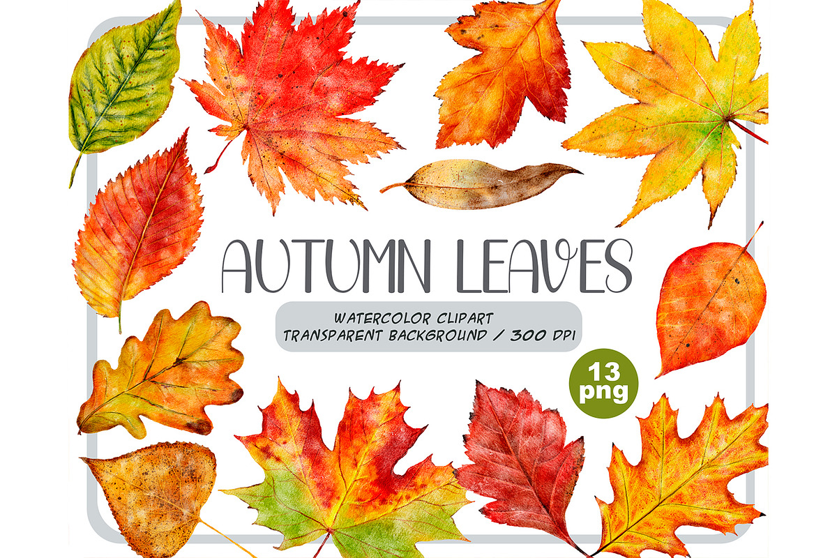 Watercolor autumn leaves clipart, a Seasonal Illustration by ArtfulStudio (Photo 1 of 7)