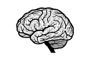 Brain Tree Knowledge Design Bundle, an Illustration by Gaye Art (Thumbnail 28 of 31)