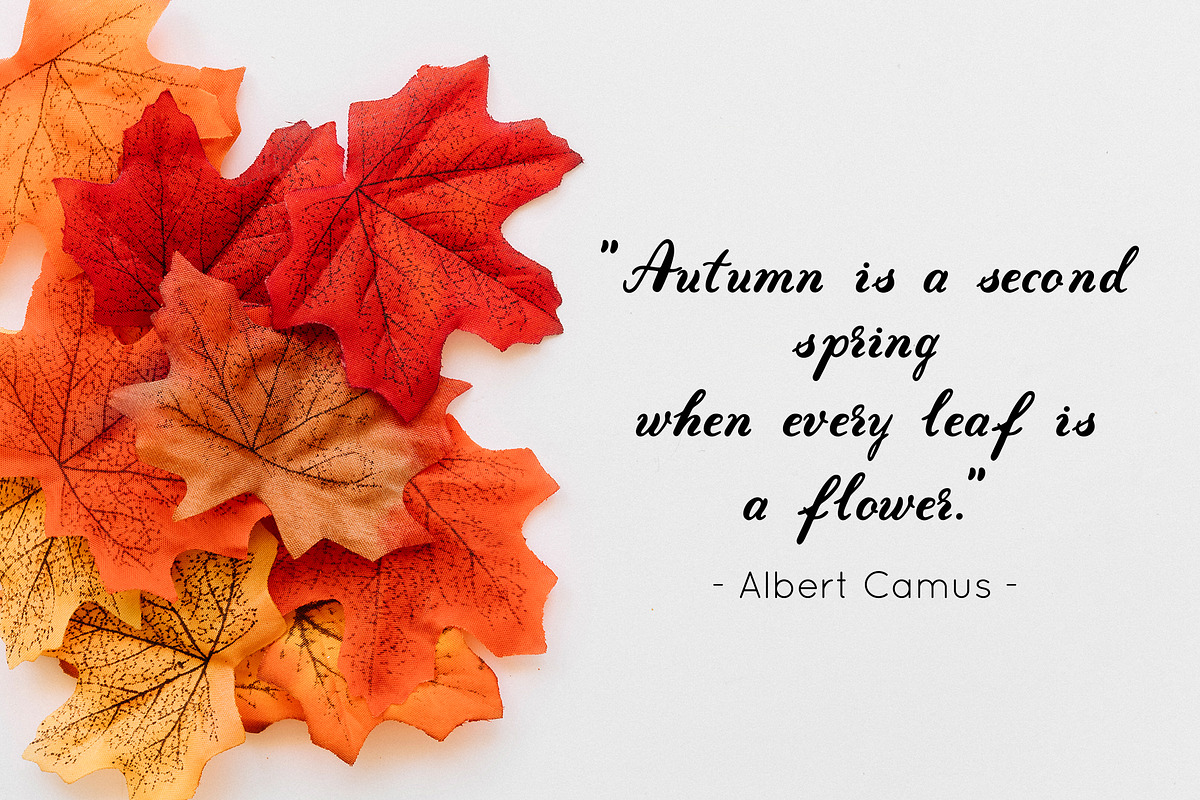 Autumn - fall in love font duo preview 7