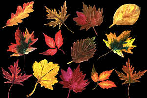 Autumn Leaves Watercolor Icons