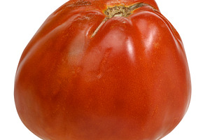 A large ripe red tomato, isolated background., a Food & Drink Photo by ndanko