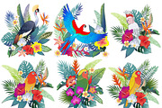 Tropical birds & flowers, an Object Graphic by Anastasia (Thumbnail 5 of 12)