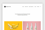 Portfolio Theme Imagery Pro, a WordPress Template by DinevThemes (Thumbnail 3 of 6)