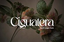 Ciguatera Serif Logo Font