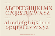 Valmia Modern Elegant Typeface Font, a Serif Font by Rasio Studio (Thumbnail 2 of 9)