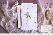 Meadow Mood. Wildflower collection, an Illustration by Diana Askarova Art (Thumbnail 5 of 9)
